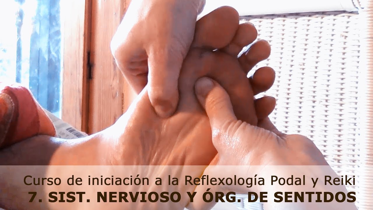 7. Curso de Reflexología Podal y Reiki: sistema nervioso y órganos de los sentidos