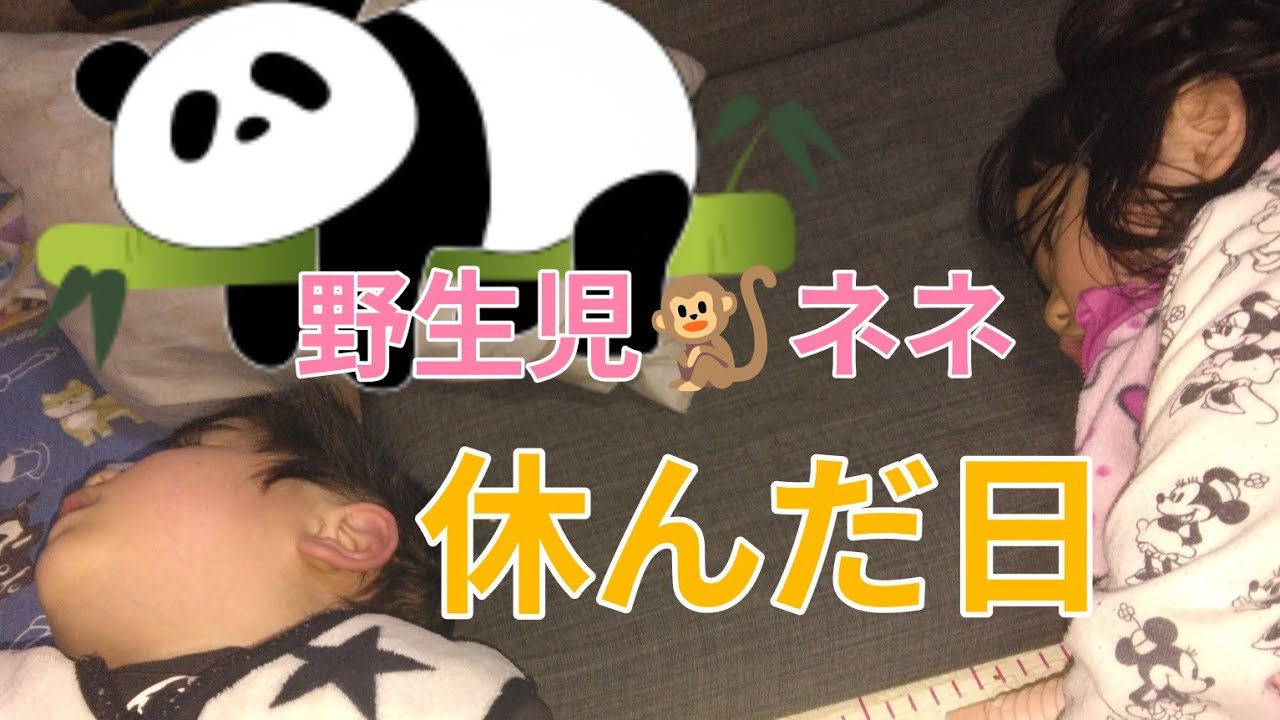 ネネ👧療育園休んだ日【重度知的障害児】