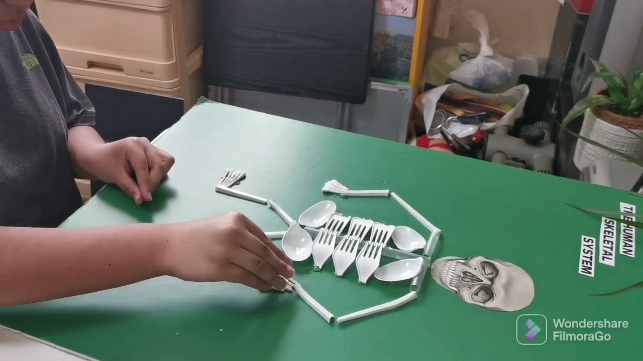 Science 6 Project - The Human Skeletal System Using Recyclable Materials