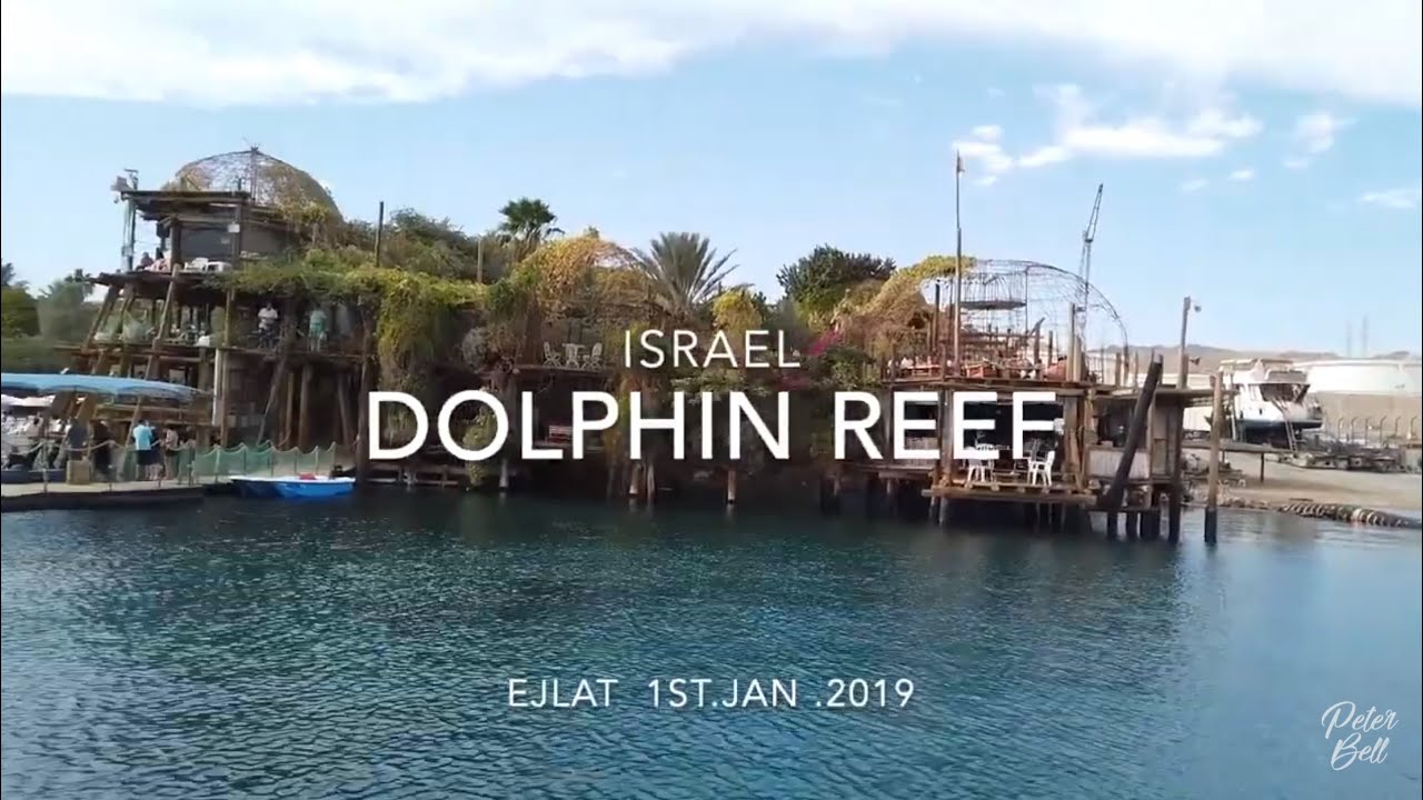 EJLAT ISRAEL - Dolphin Reef