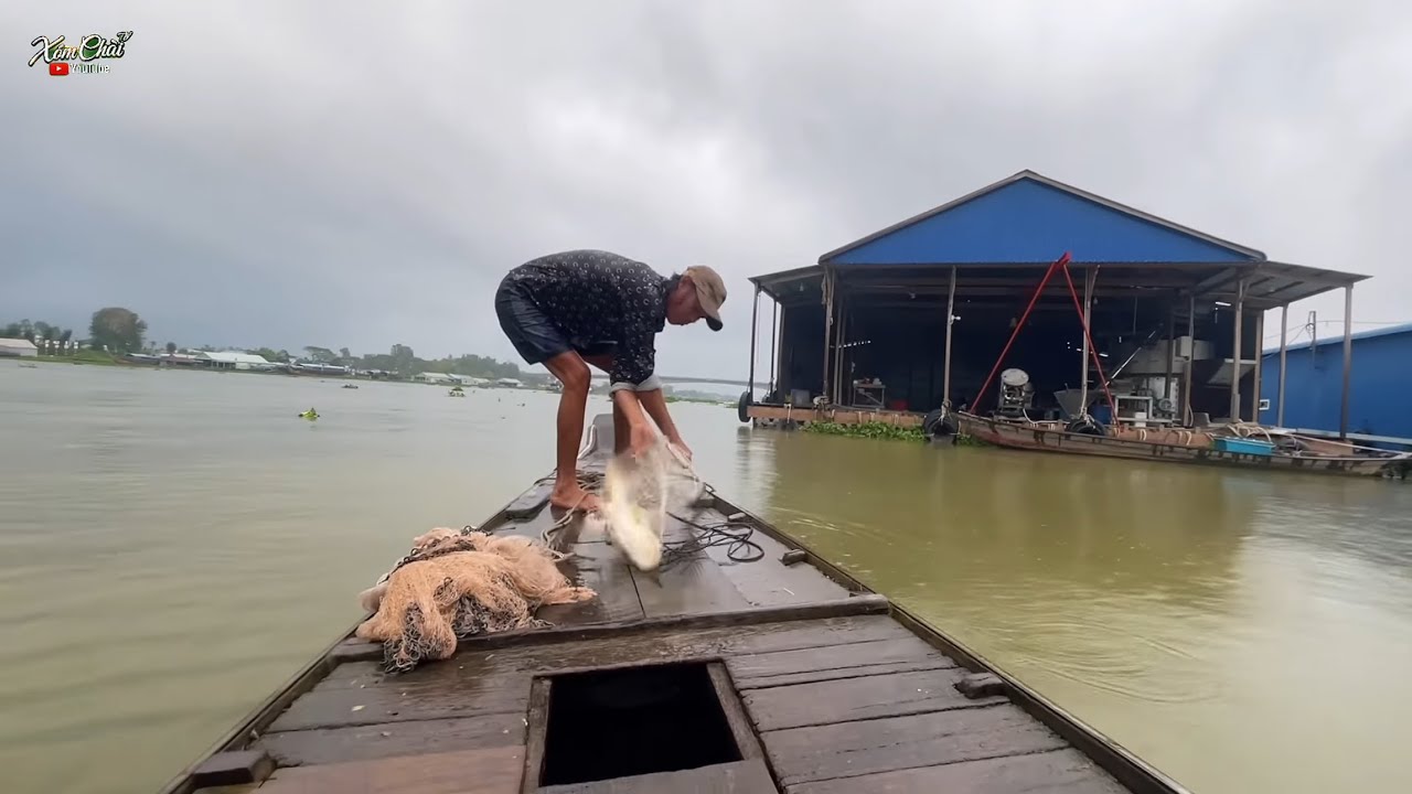 Mưa Đầu Mùa Chài Giựt Giây Cá Ngớp Theo Đầu Bè 