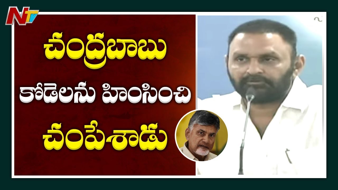 Chandrababu Is Main Reason For Kodela Siva Prasad Demise: Kodali Nani  NTV