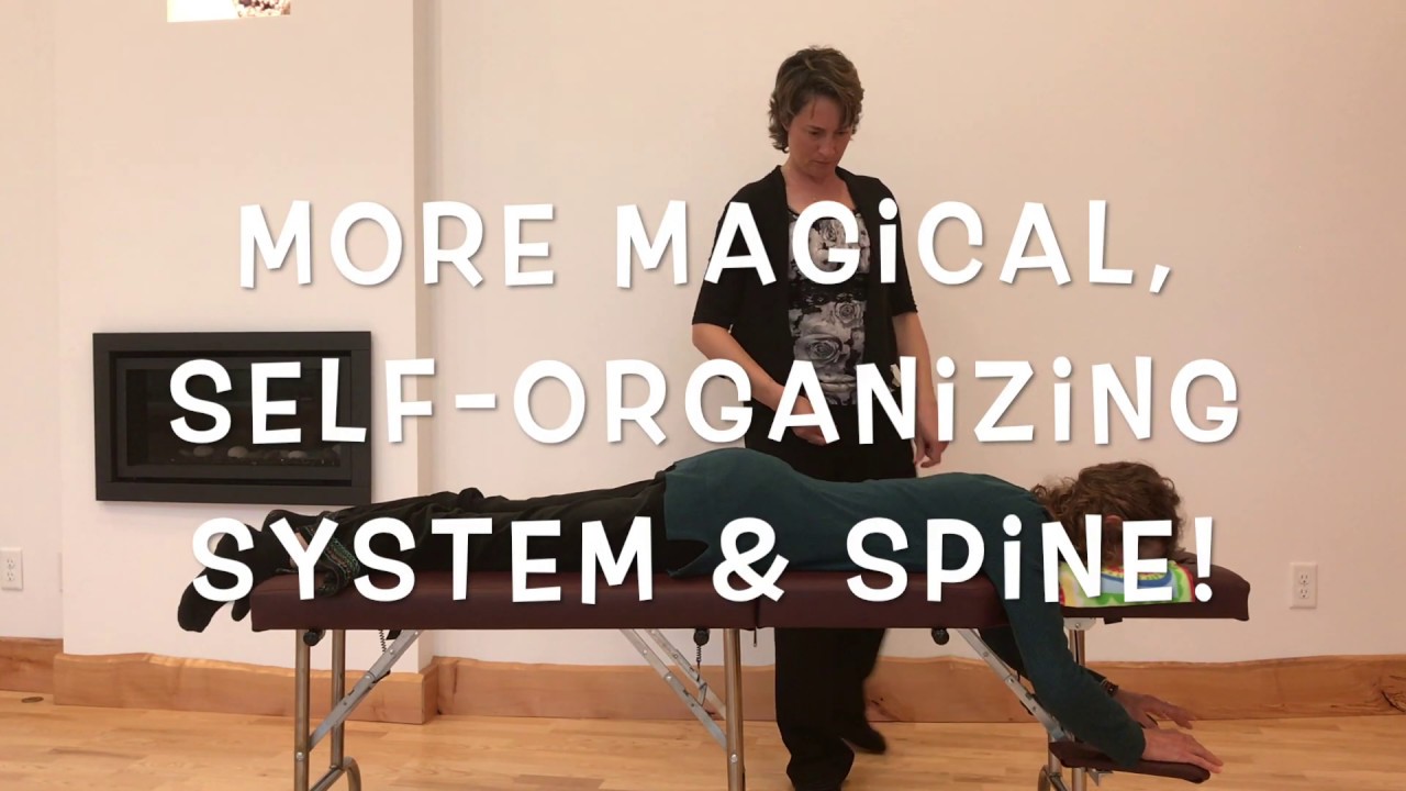 NetworkSpinal Demo - 2020 version