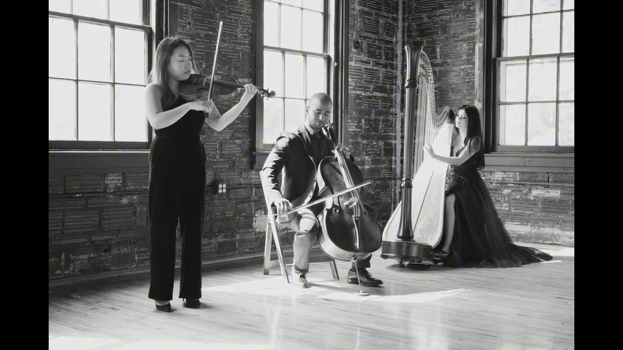 Young and Beautiful (harp, violin, and cello cover)