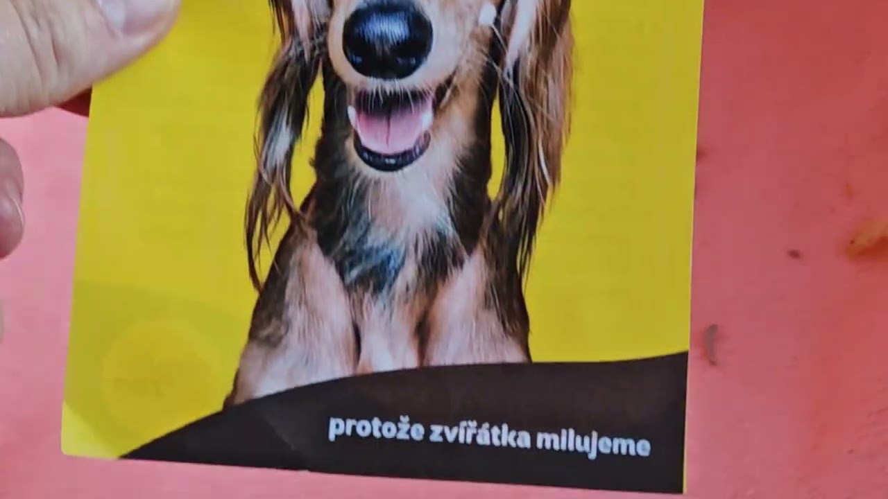 Co jsem si přinesl ze Super Zoo? 