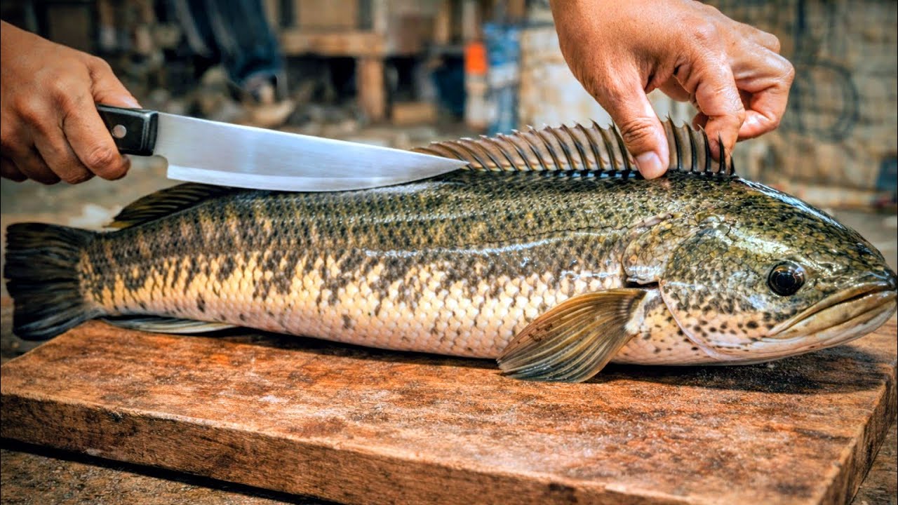 Amazing Huge Snakehead Fish Cutting and Cleaning by Expert।