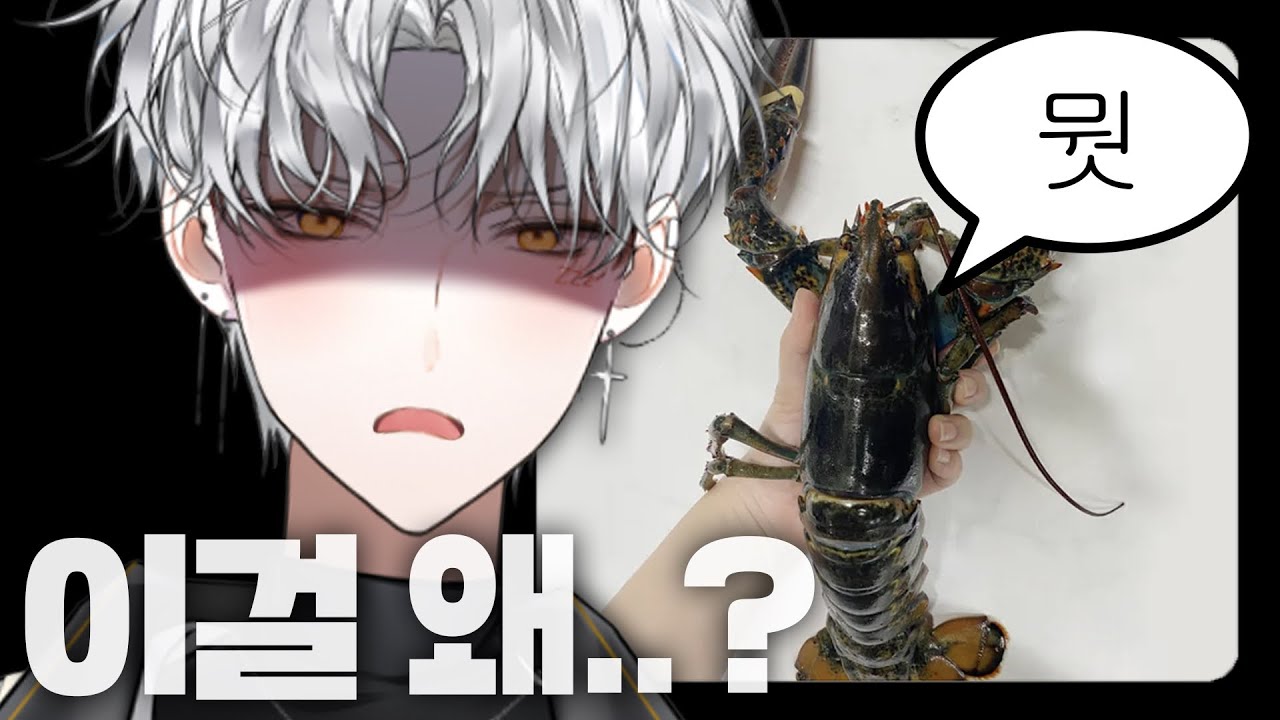 살아있는 랍스터를 왜 보내냐고 #늦잠버츄얼
