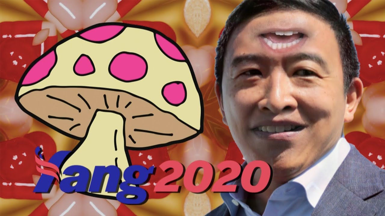 Andrew Yang Approves Of Psychedelic Mushrooms