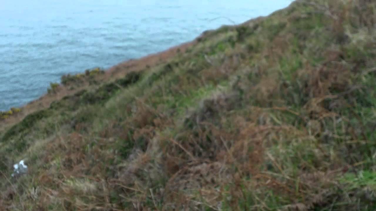 Howth Hike
