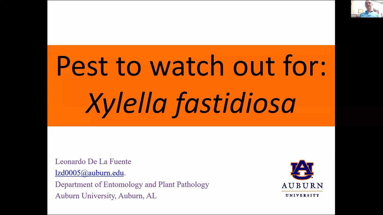Stop the Spread: Xylella fastidiosa
