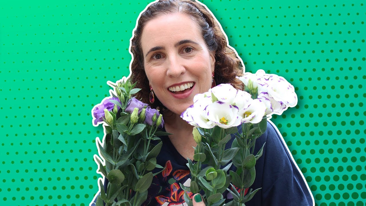 💜 CULTIVANDO LISIANTO | Nô Figueiredo
