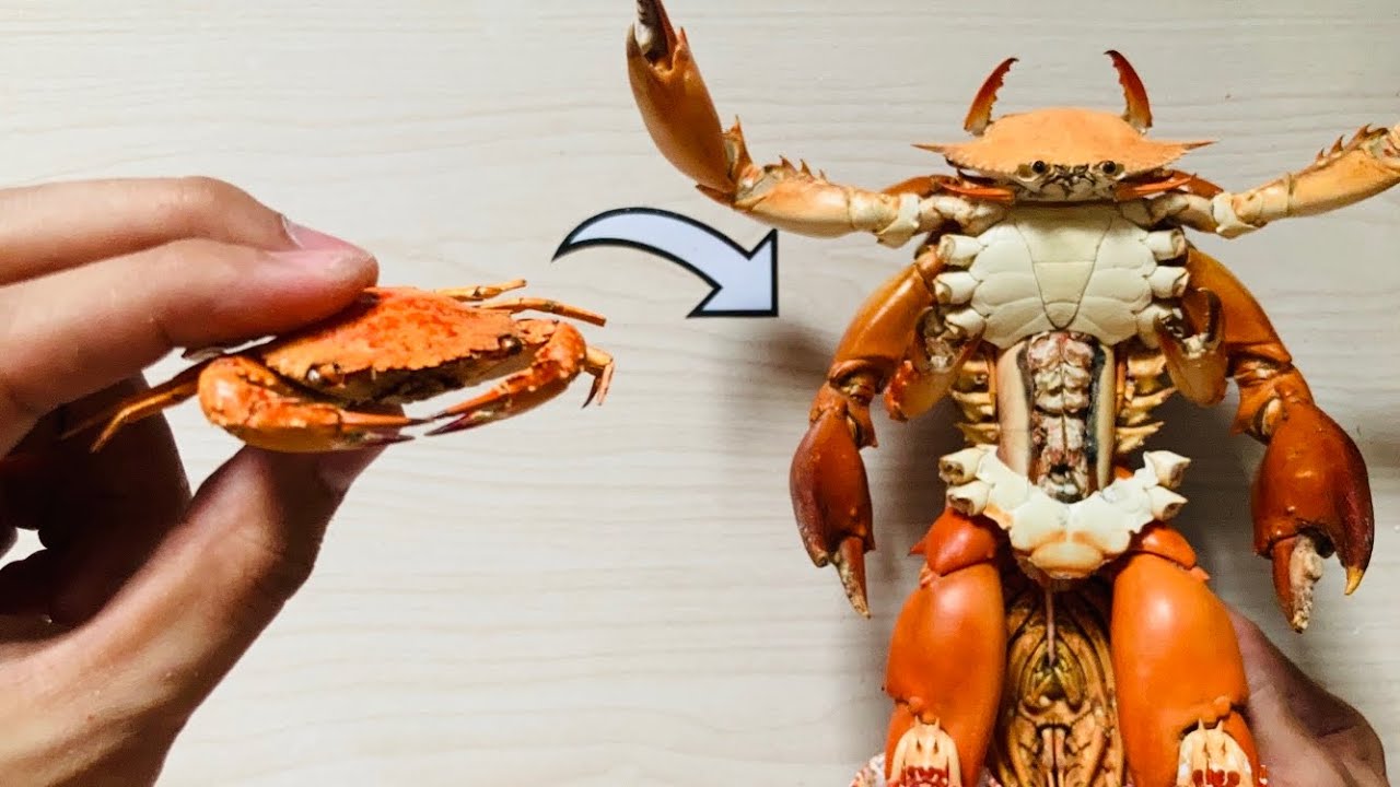 Homemade Armored Crabman Using Crabs 🦀♻️🙏