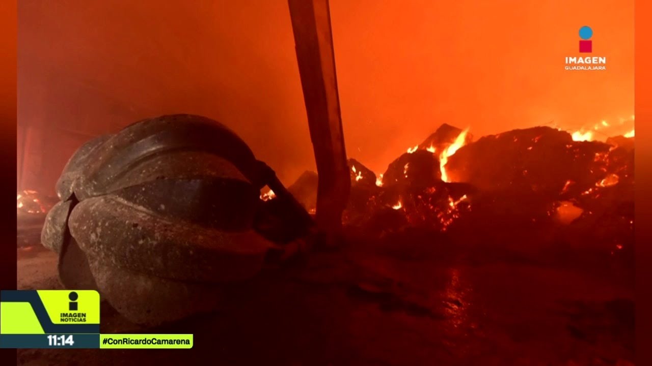 Fuerte incendio consume recicladora en El Salto | Noticias GDL con Ricardo Camarena