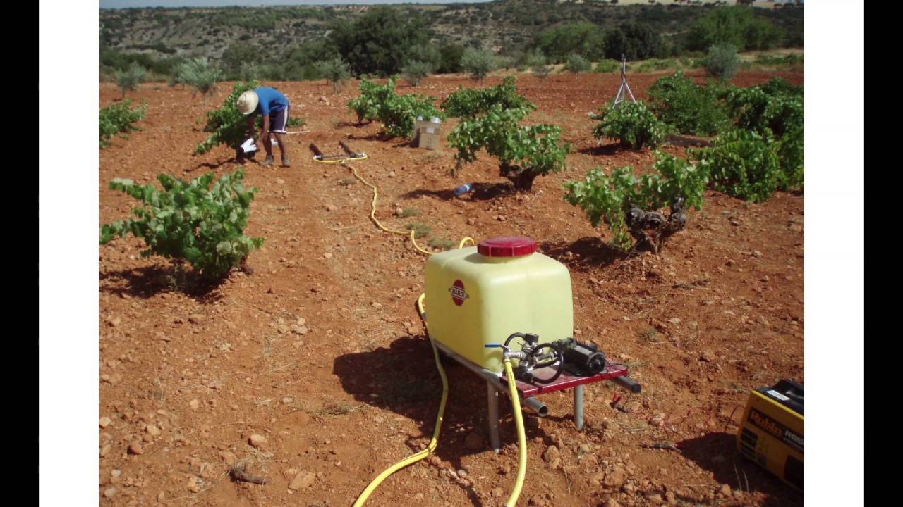 Soil management in vineyards