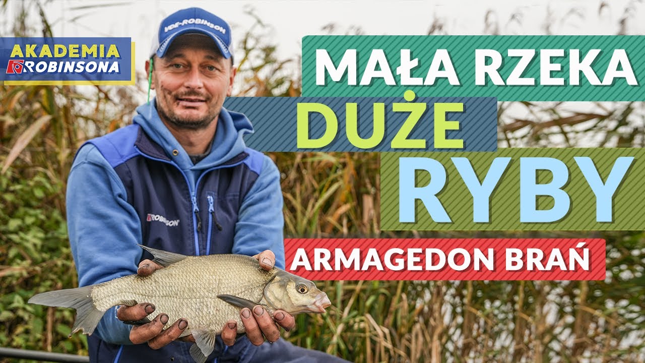 Mała rzeka - duże ryby! Ogromna liczba brań na spławik i skuteczne zanęty! AKADEMIAROBINSONA#55