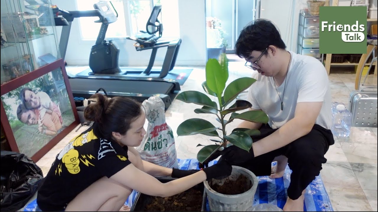 ช่วยชีวิต 