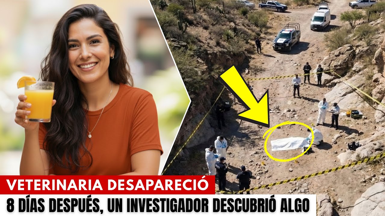 Veterinaria desapareció en 1998 saliendo de compras. 8 días después, un investigador descubrió algo