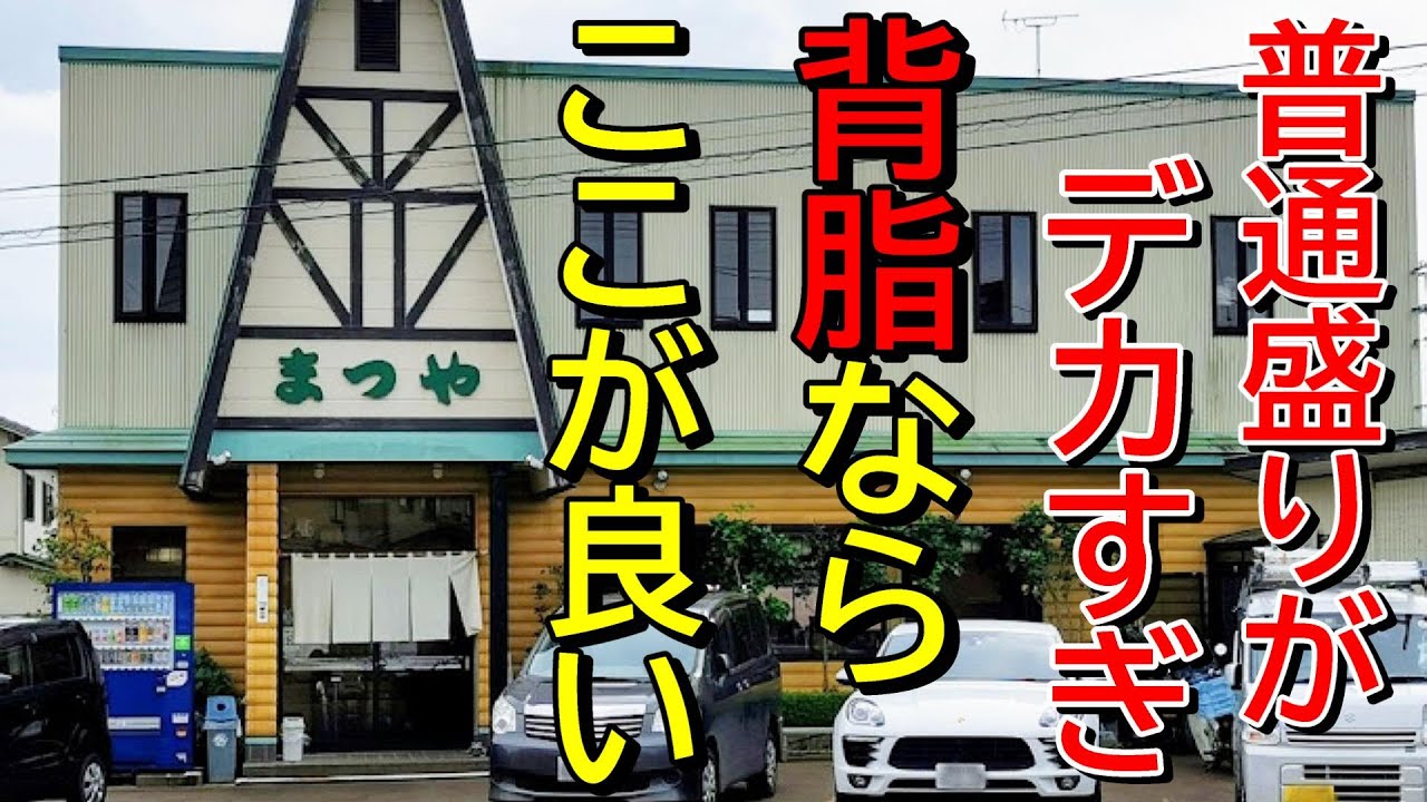 【行列すぎる人気店】大油が堪らない！新潟ラーメン巡り！第３１０弾！