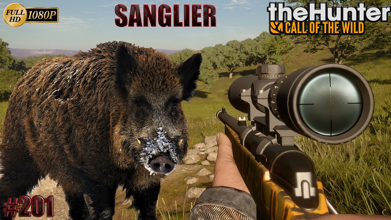 THEHUNTER COTW GAMEPLAY 🐗 #201 UNE CHASSE AUX SANGLIERS SUR CUATRO COLINAS | CHASSE 2023