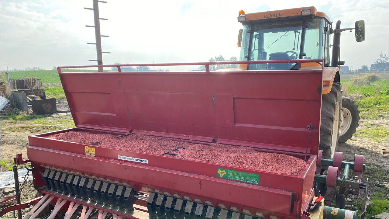 Tydzień temu rósł poplon, dzisiaj zasialem bezorkowo pszenice 🚜💪
