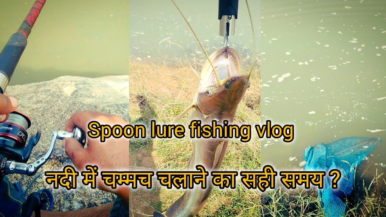 नदी में चम्मच चलाने का सही समय| Spoon lure fishing tips & tricks| fishing vlog
