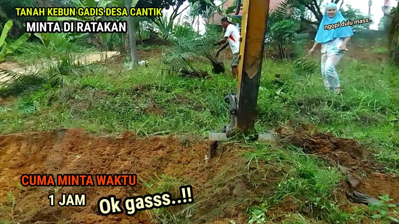 Wanita cantik ini sewa excavator 1 jam untuk meratakan tanah kebun nya yang penuh jurang