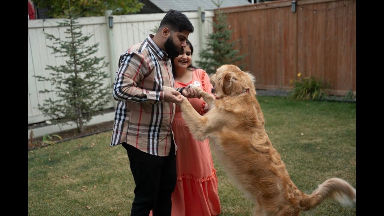 Welcome to my Channel  !! #puppy #newbeginnings #family #pawspramspranthas #trailer #canada #india