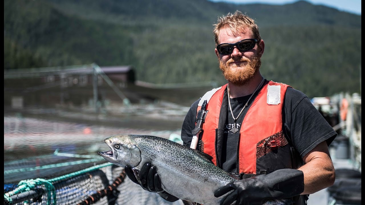 Creative Salmon Industry Spotlight - Pentair AES