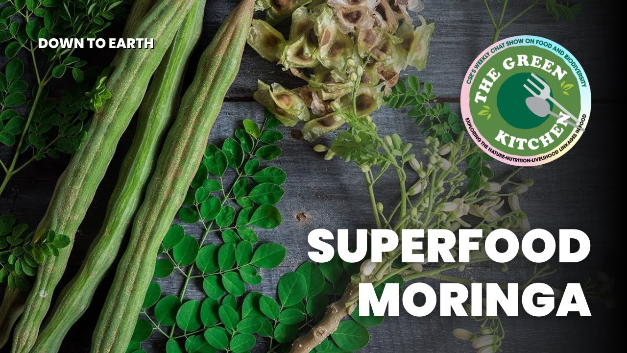 E06 Moringa! The Most Nutritious Superfood in The World | The Green Kitchen