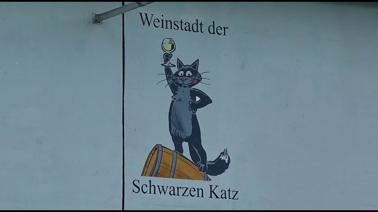 MS Seestern 2. Reise, Teil 7, von Koblenz nach Enkirch