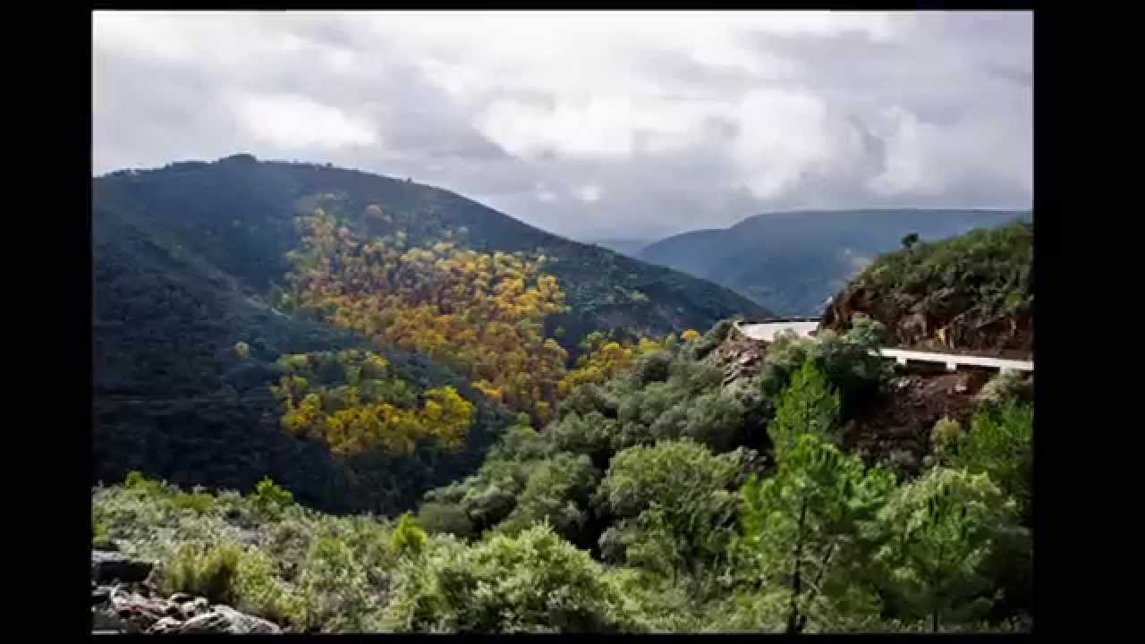 VALERO (Salamanca)  PERFILES DEL OTOÑO