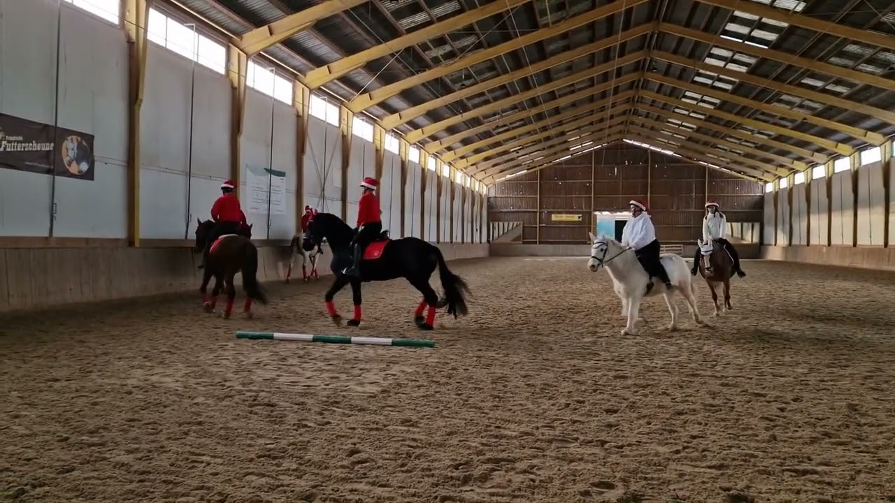 NOEPS Weihnachts-Video-Wettbewerb 2023: Platz 2 Thavonhof (Kategorie Quadrille)