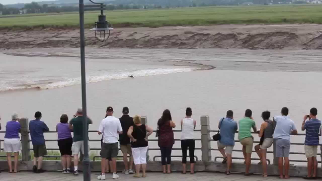 Bay of Fundy Tidal Bore