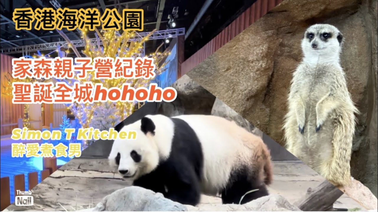 海洋公園 (上) ｜ 家森親子營紀錄 近距離觀察小狐獴 聖誕全城HOHOHO ｜ 和小朋友在海洋公園露營過一晚的體驗 《醉男週圍遊之香港-海洋公園》