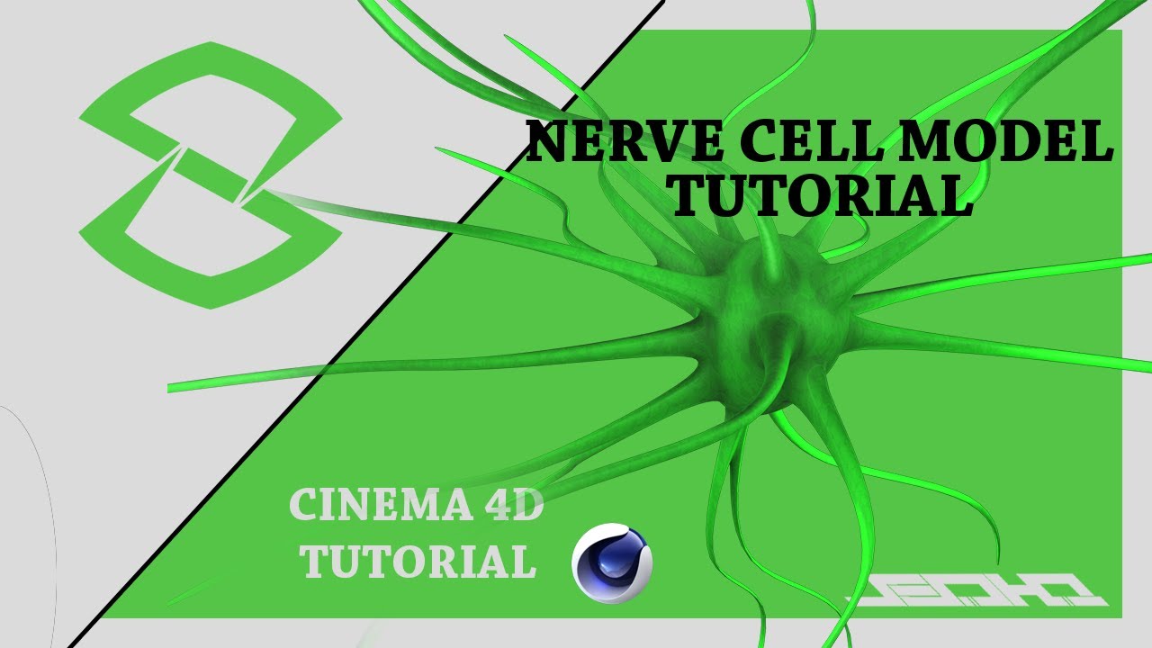 Cinema4D Tutorial | Nerve Cell/Bacteria Model | Add-on effect w/SesO