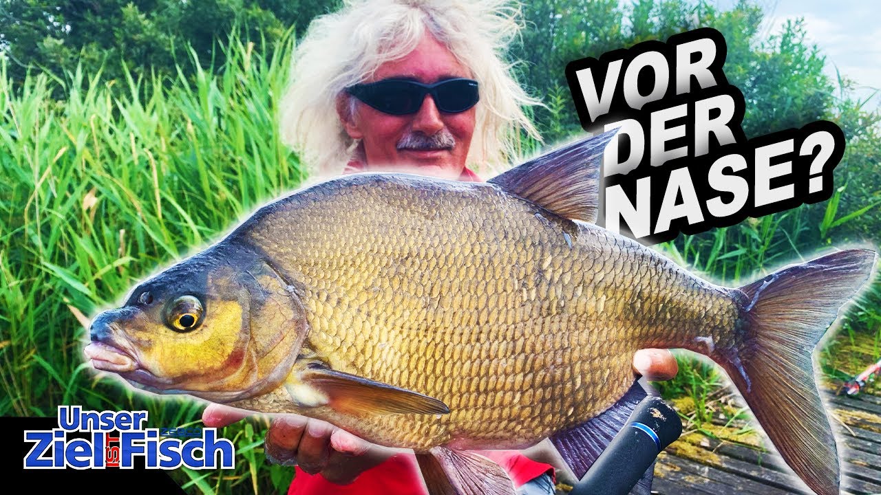 Die FISCHE GEBEN AUF - Mit WAGGLER auf KARPFEN & BRASSEN - Unser Ziel ist Fisch mit JÖRG OVENS