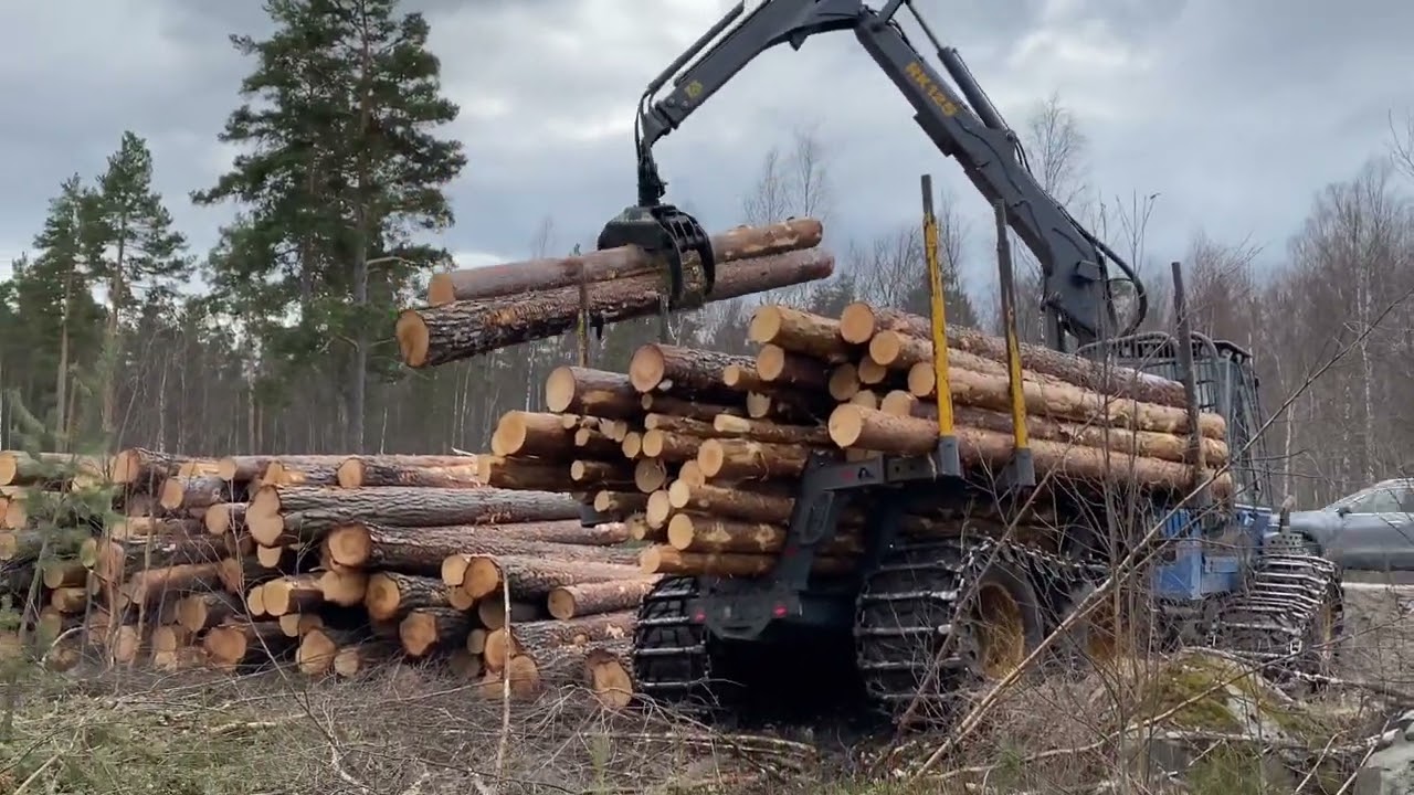 Rottne F15D Unloading pine! [4K]