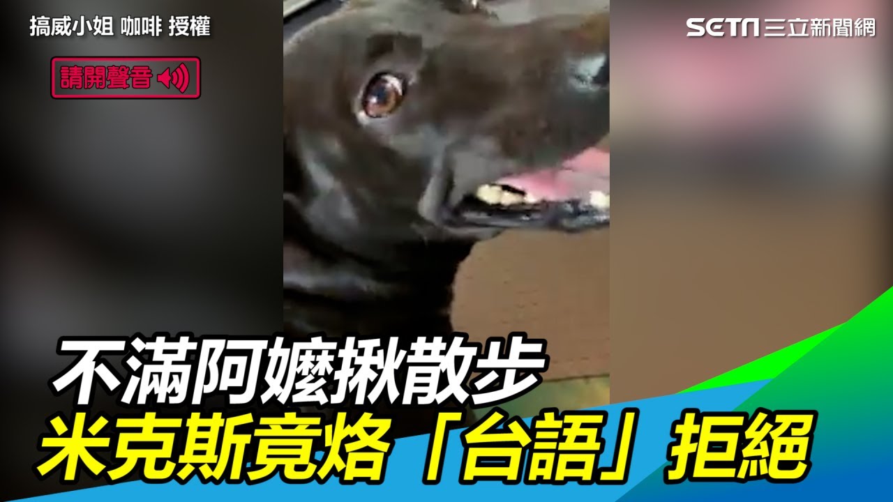 不滿阿嬤揪散步　米克斯竟烙「台語」拒絕｜三立新聞網SETN.com