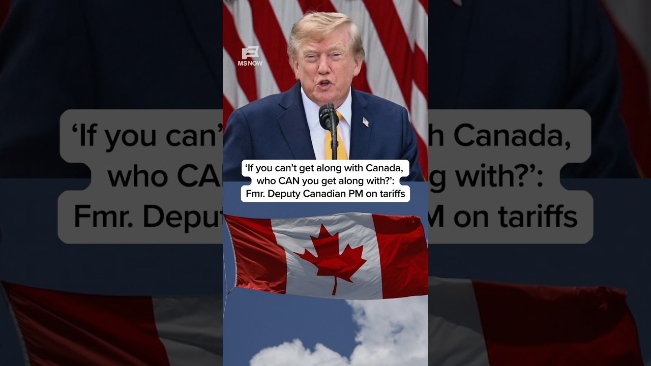 'If you can't get along with Canada, who CAN you get along with?' Fmr. Deputy Canadian PM on tariffs