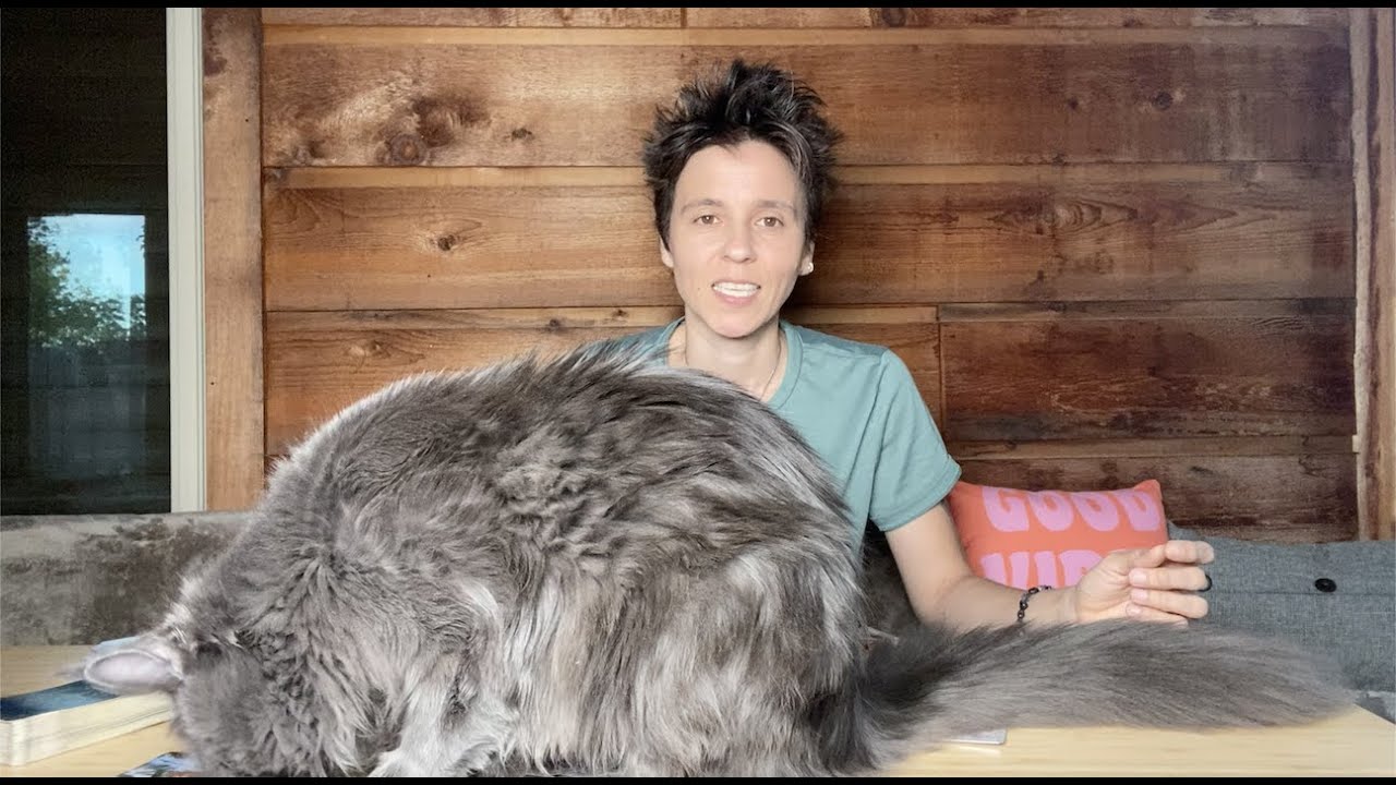 TAURUS MID JUNE 2022 - 