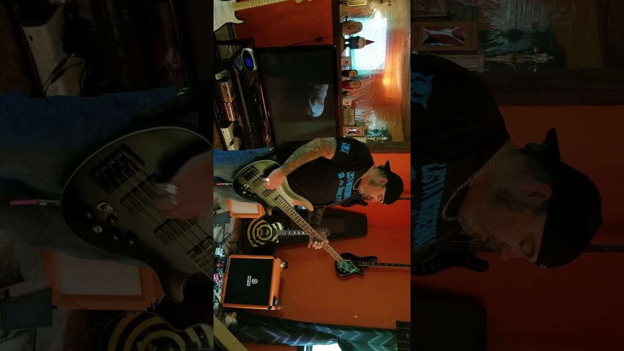 Schecter SLS elite evil twin bass unboxing.