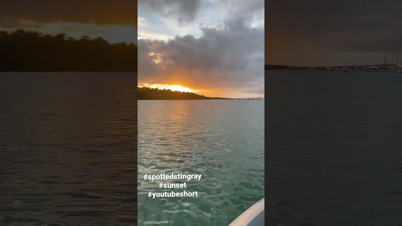 Fishing and catching a view 