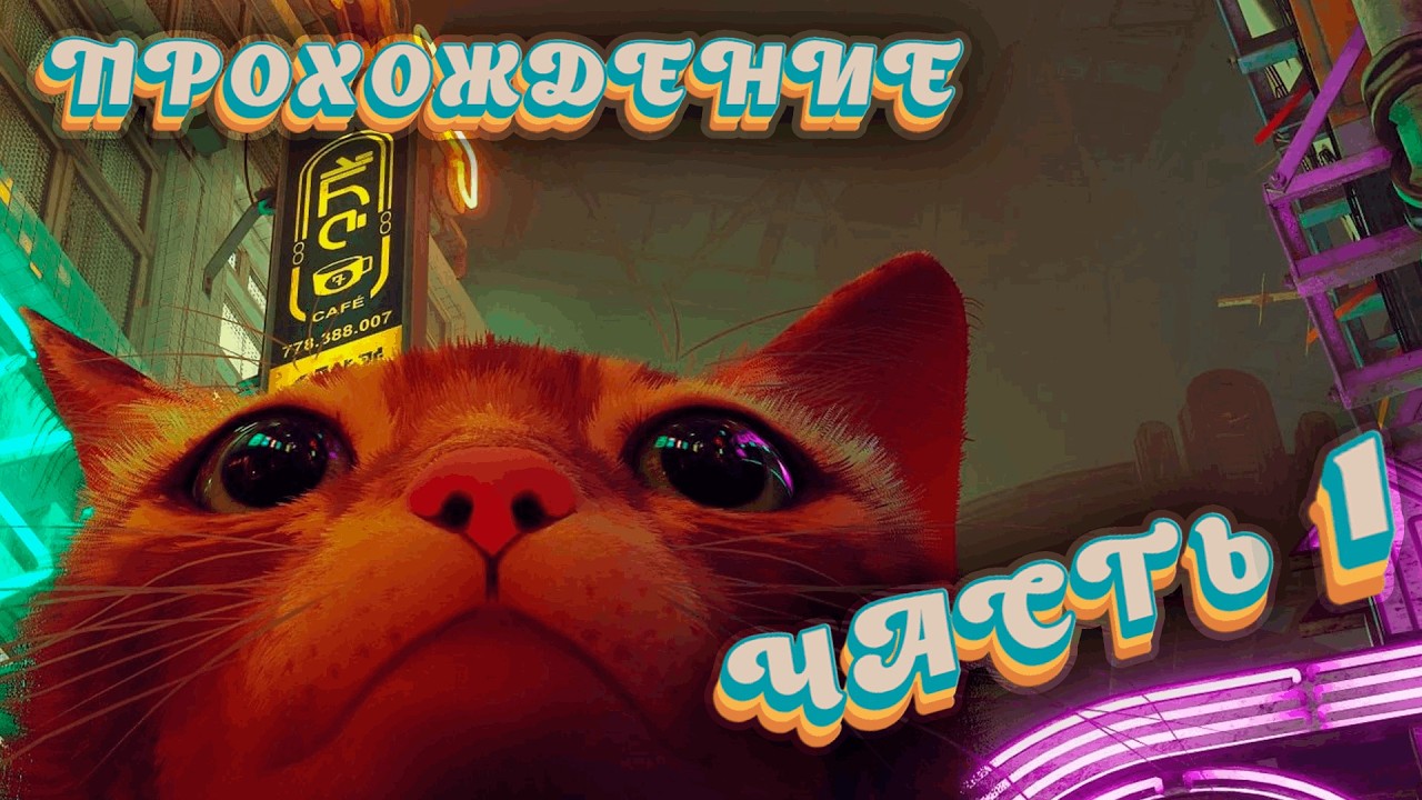 STRAY ☬ ЧАСТЬ №1 - НАЧАЛО ИДЕАЛЬНОЙ ЖИЗНИ ☬ Прохождение