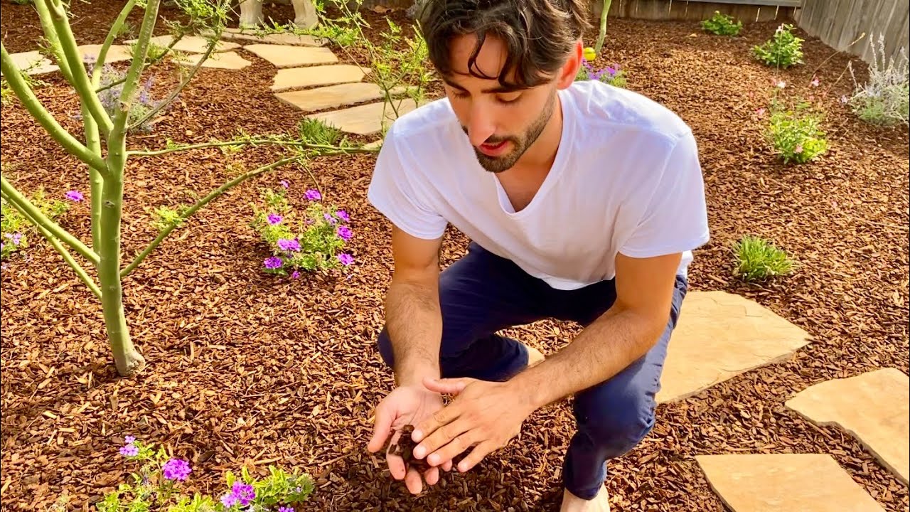 Como diseñar tu  jardín (camino de piedras)