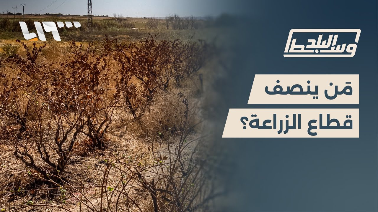 مباشر | الزراعة السورية تنهار والأمن الغذائي في خطر.. هل فات الأوان؟ | وسط البلد