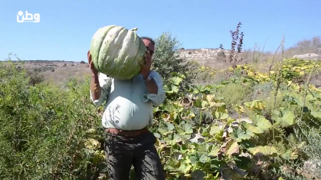 طولكرم : الجالولي يحيي خربة الحمام