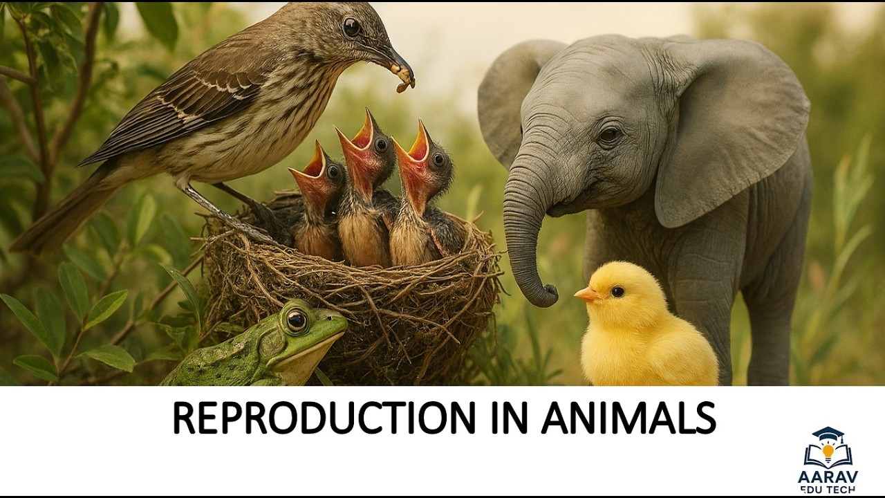 Reproduction in Animals | #Mammals #egg