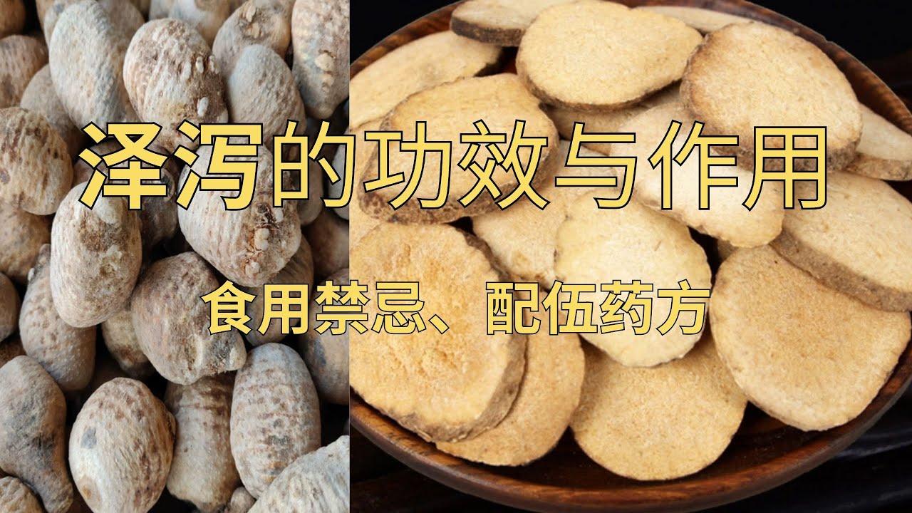 泽泻的功效与作用，泽泻的食用禁忌配伍药方#泽泻 #中药 #草药#小便不利#水肿#湿疹#降血脂#耳鸣#眩晕#阳痿#腰膝酸软#少气懒言