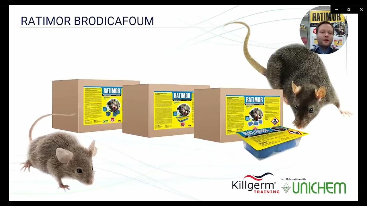Online training - Rodenticide use and effect
