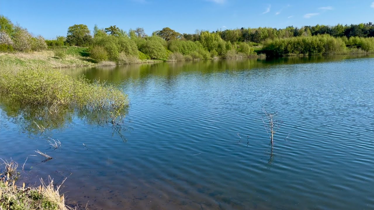 Chelford Cheshire Walk. Truly surprising and a great find. Highly recommended if you can find it!!
